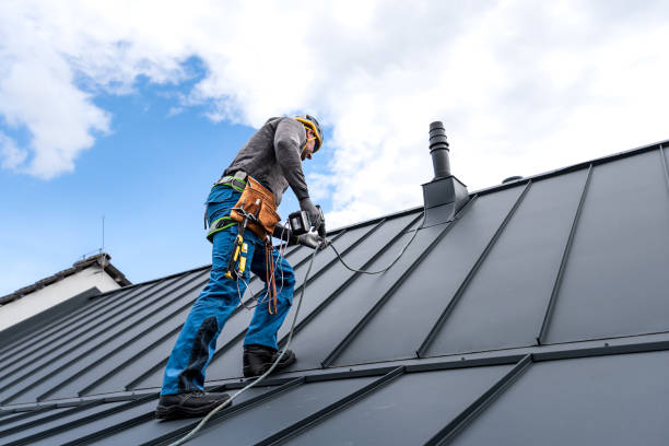 Best Chimney Flashing Repair  in Douglas, MI